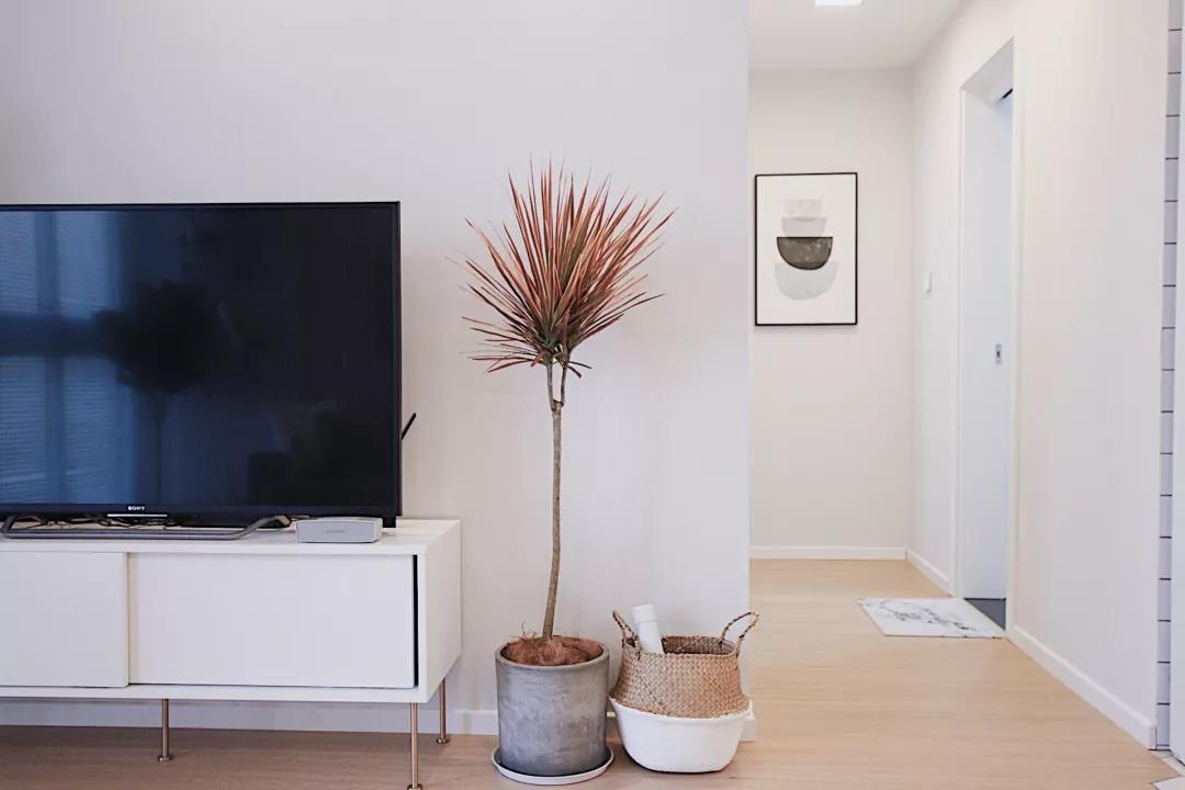 电视机背景墙采用景色设计，简约精致，一侧搭配创意盆栽显得更加时尚。