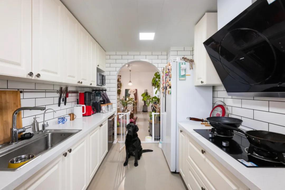 白色橱柜让空间氛围更加温馨，厨房门为狗狗设计了隔断，给空间清新自然的生命力。
